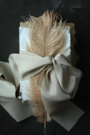 Light Champagne Silk Ribbon {Seconds}